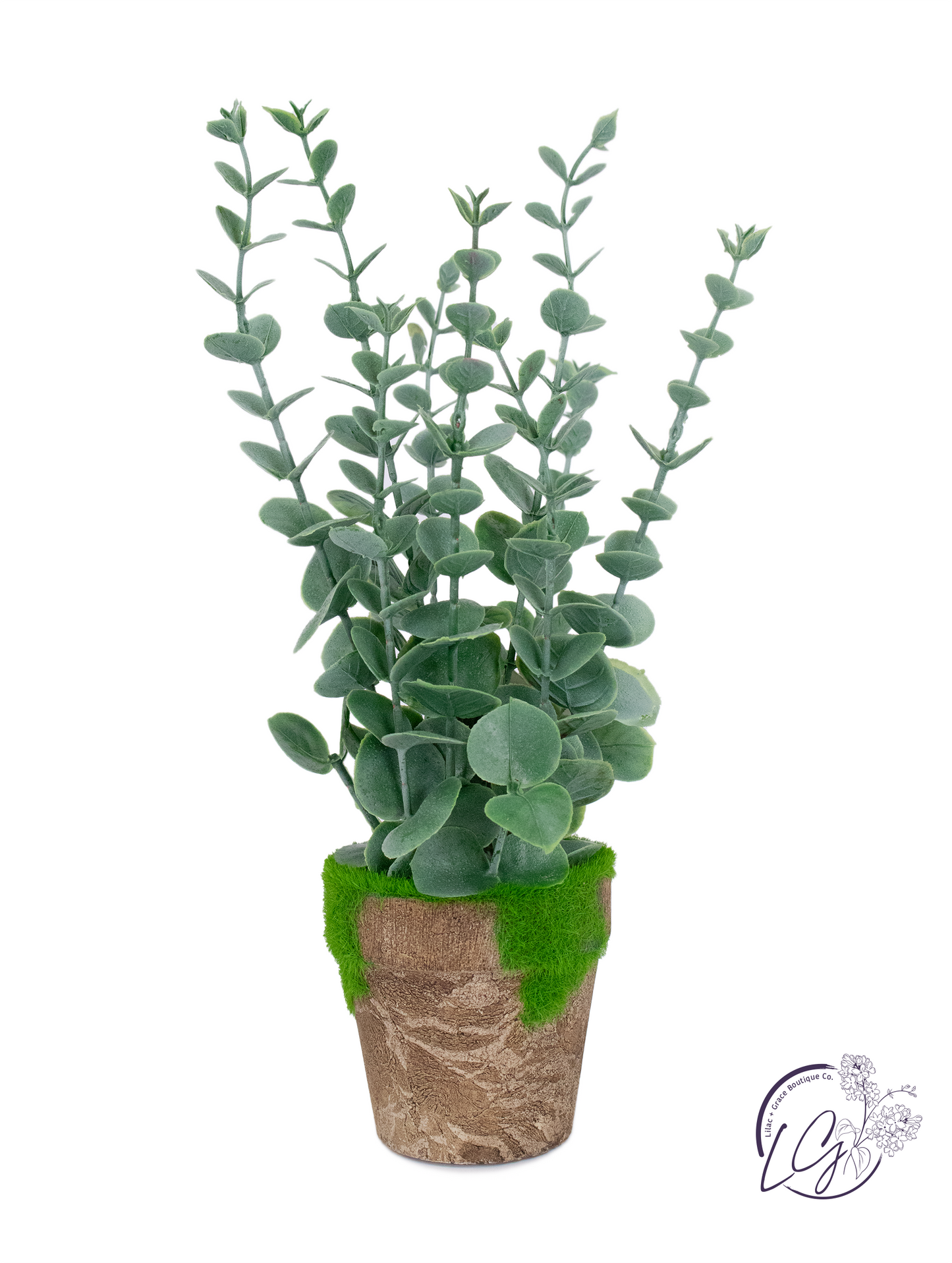 Artificial Eucalyptus In Planter