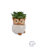 Stoneware Owl Whitewashed Succulent Planters