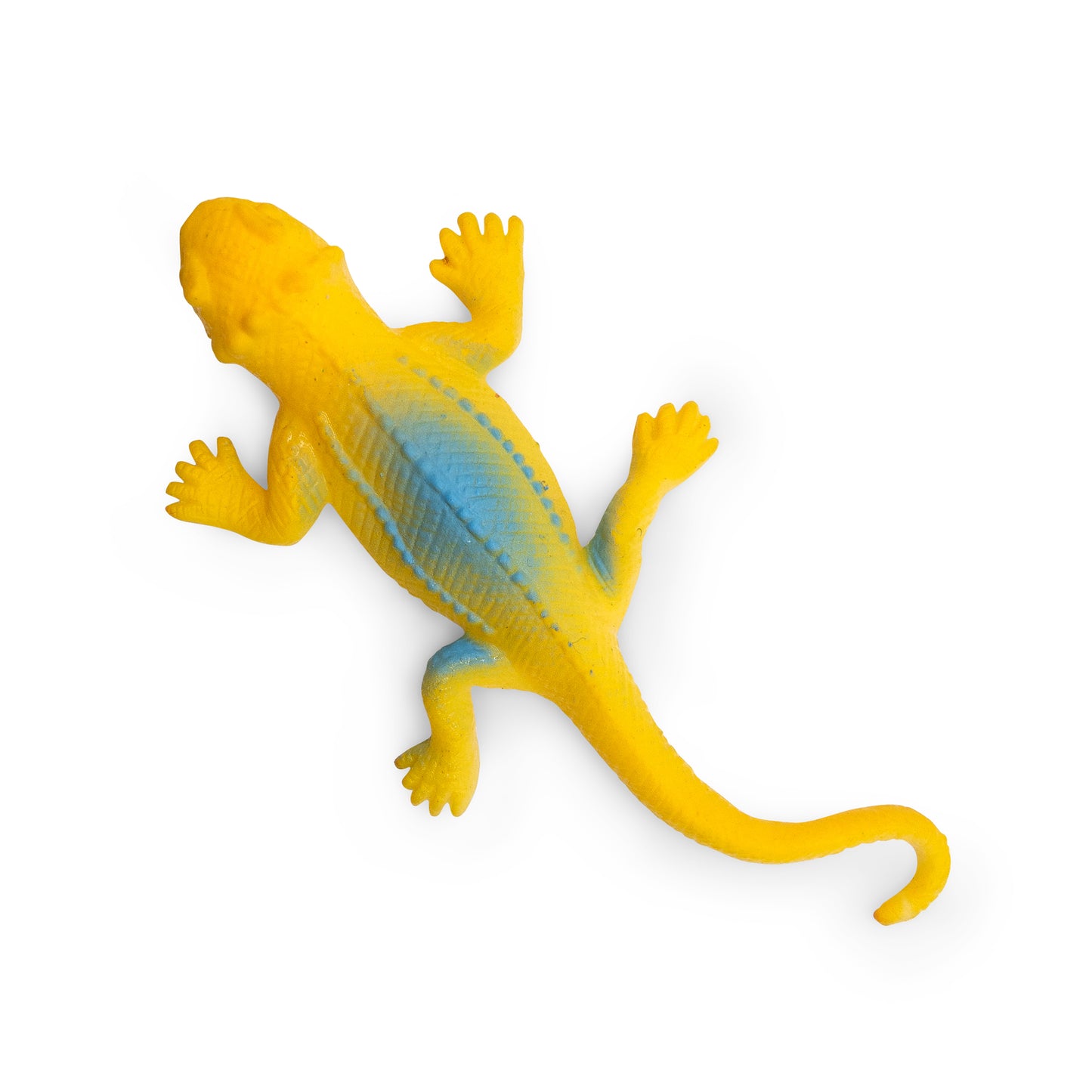 Mini Color Changing Lizards