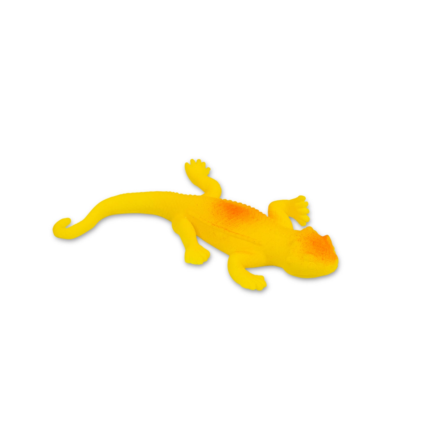Mini Color Changing Lizards