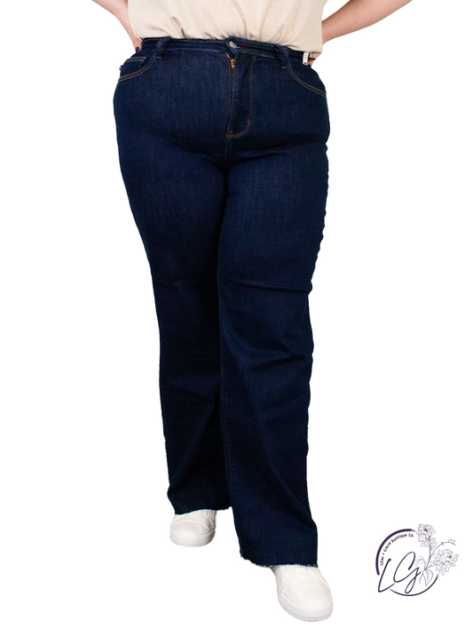 Curvy Nadia High Waist Straight Leg  By Judy Blue