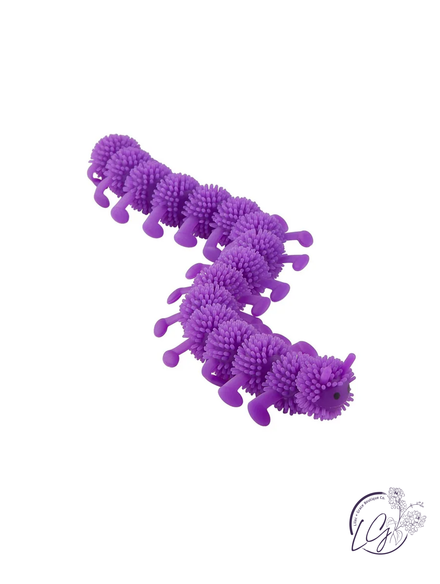 Colorful Crawlies
