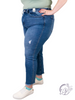 Curvy Octavia Embroidery Boyfriend By Judy Blue