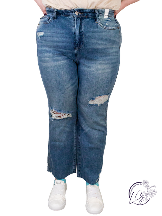 Curvy Dalia High Waist Distressed Straight By Judy Blue