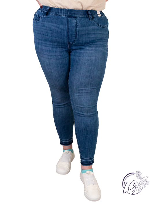 Curvy Dacey High Waist Skinny Jean By Judy Blue