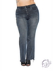 Curvy Rowan High-Rise Distressed Straight by Judy Blue