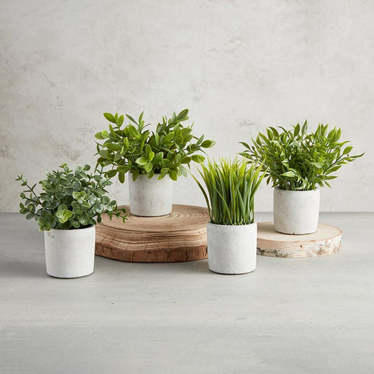 Artificial Plants - Cement Pot - Bush