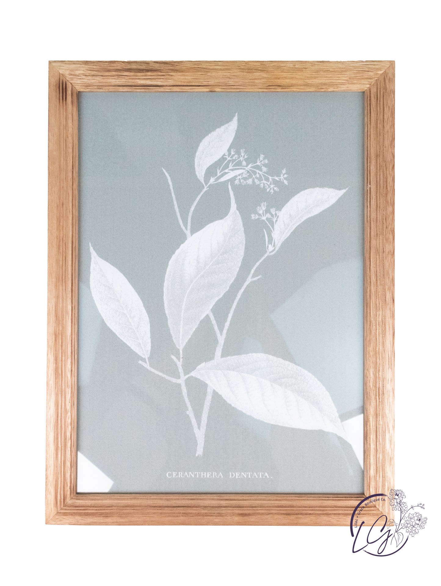 Framed Painting - Leaves