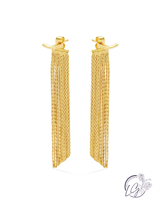 Back Accented Long Earrings