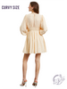 Curvy Eden Embroidered Mini Dress