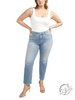 Curvy Billie High Rise Straight Leg Jeans by Silver Jeans