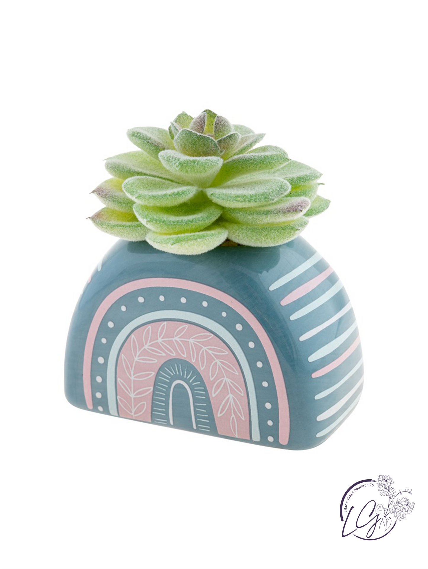 Shaped Succulent Pot Rainbow