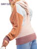 Curvy More Than Ready Colorblock Sweater