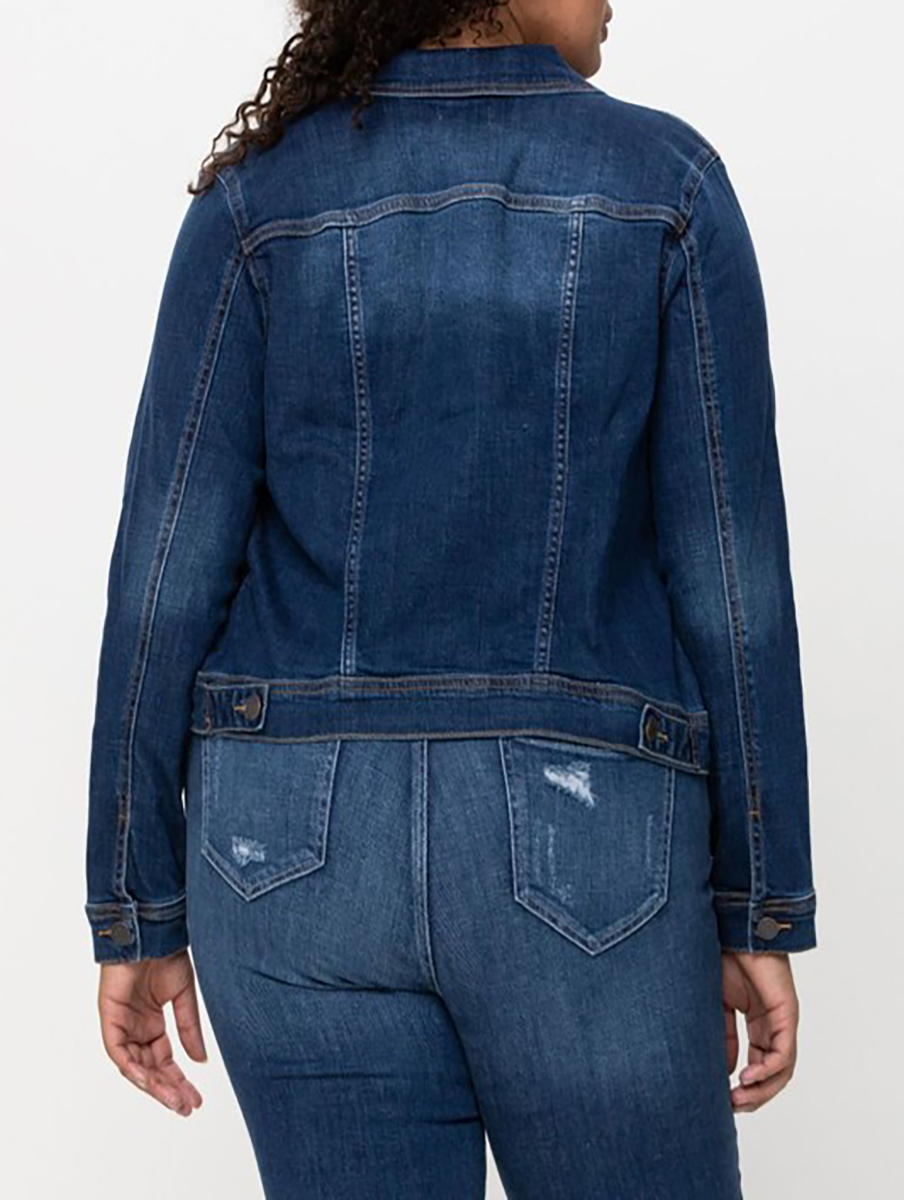 Curvy Alex Regular Fitted Denim Jacket by Cello Jeans