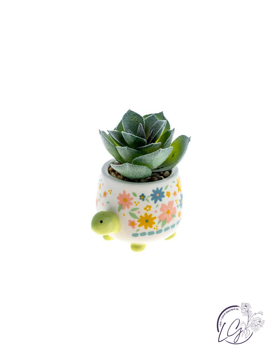 Shaped Succulent Pots