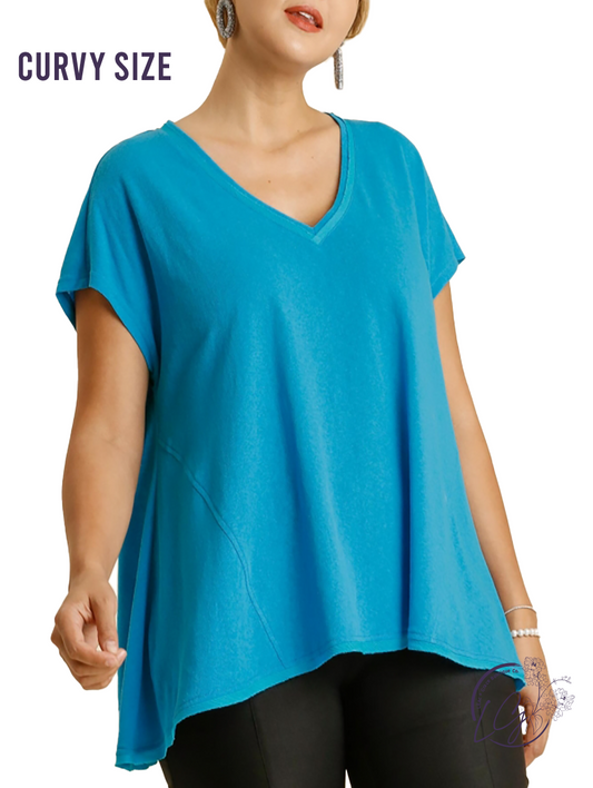 Curvy Lovely Wishes Basic V-Neck Tee